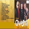 ovelha da seresta - 02 SEM VOCÊ NÃO VIVEREI