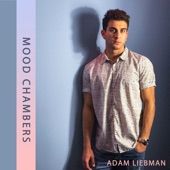 Adam Liebman - Assuming Things.