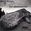 Stream & download The Undergroove - Single