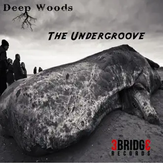 The Undergroove (KOS41 Dub) by Deep Woods song reviws