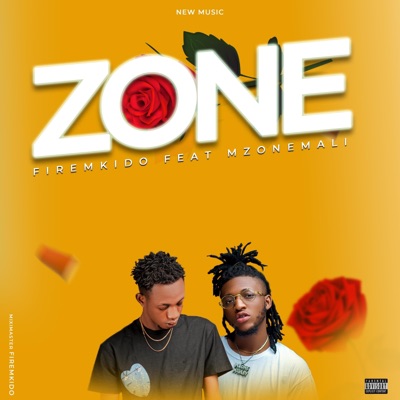 Zone (feat. Mzone Mali) - Single