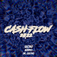 Cash Flow 2022 - Single - Sectro, Krypet & Dr. Castro