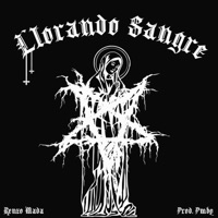 Llorando Sangre - Single - Renzo Mada