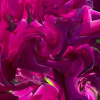 My Soul - Single - EFFLA