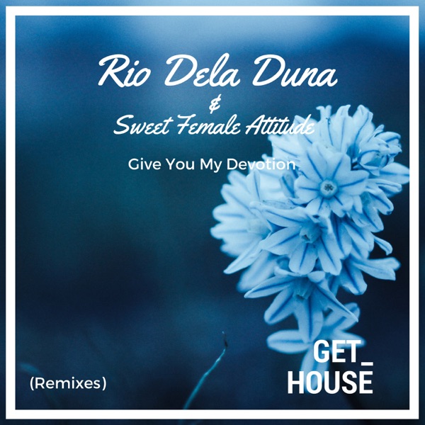 Give You My Devotion (Remixes) - Single