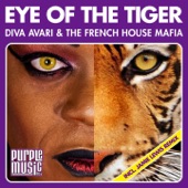 Eye of the Tiger (Disco Radio Mix) artwork