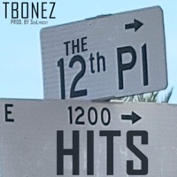 The 12th Pl Hits - Tbonez