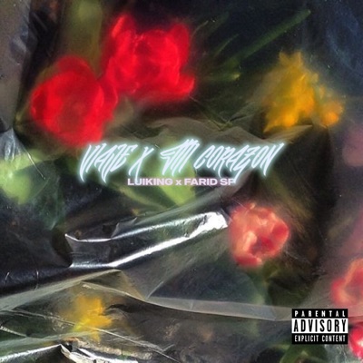 Un Viaje X Mi Corazón (feat. FaridSP) - Single