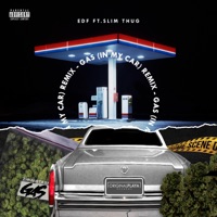 Gas (feat. Slim Thug) - Single - EDF