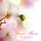 Instrumental Piano Music - Piano Music Relaxation lyrics