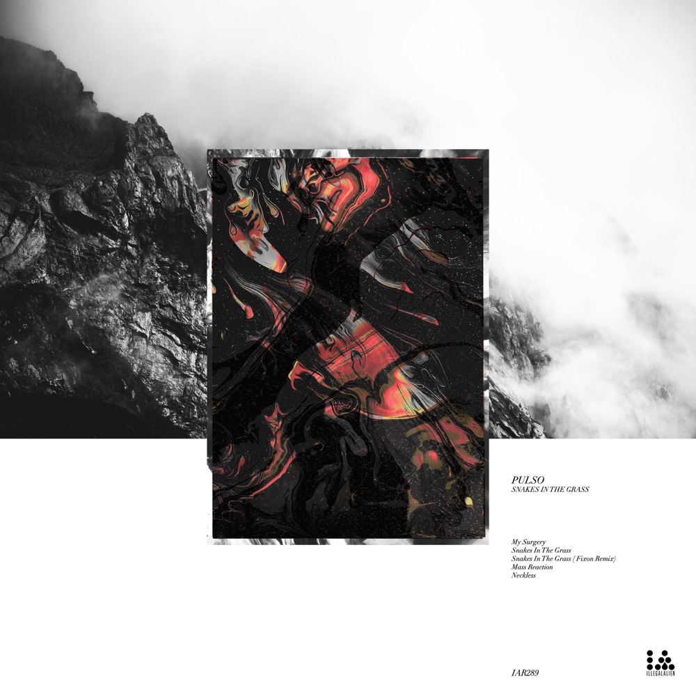 Обложка альбома «Snakes in the Grass - EP» — Pulso