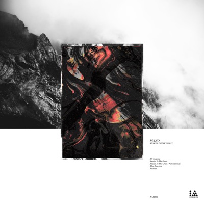 Snakes in the Grass - EP