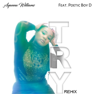 Try (feat. Poetic Boy D) [Remix] - Single