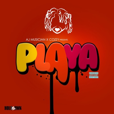 Playa (feat. Cozzy) - Single