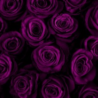 In My Head (feat. J Swey) - Single - Azide