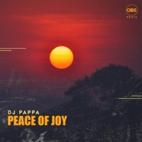 Peace of Joy - Single - DJ Pappa