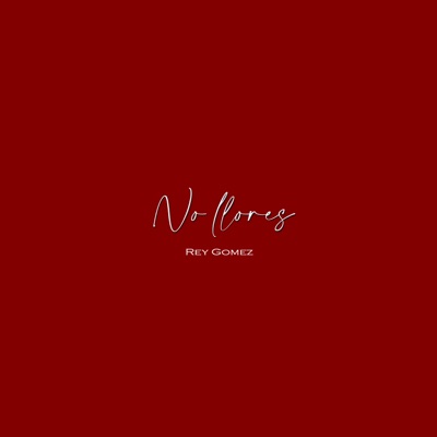 No Llores - Single