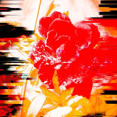 Roses Bleached (feat. You're Welcome., FarLane & Hideous Hyide) - Single