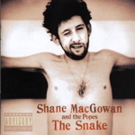 Shane MacGowan & The Popes - Haunted