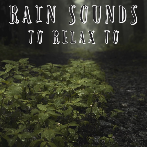 Rain Sounds To Relax To