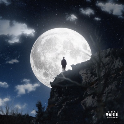 Spari in aria - Single