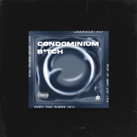 Condominium Bitch (feat. chets, BENCHE, Ohjian, J Camp, Avyl, Lanzeta & zp3nd) - Single - ID-IO