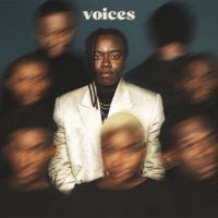 Voices - Single - Tusse