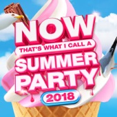 NOW That's What I Call Summer Party 2018 artwork