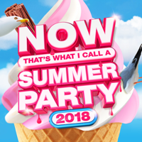 Various Artists - NOW That's What I Call Summer Party 2018 artwork