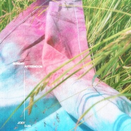 Sunday Afternoon JOEY DJIA