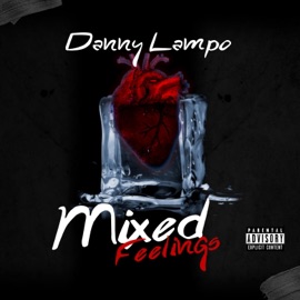 Mixed Feelings Danny Lampo