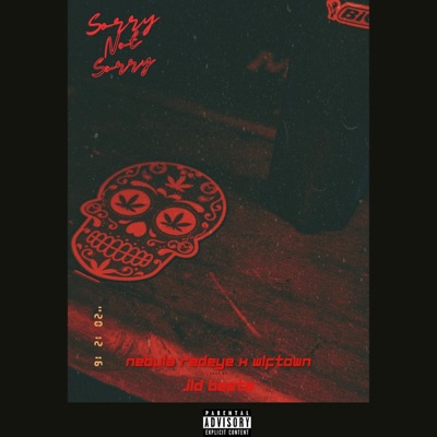 Sorry, Not Sorry (feat. Wlftown & JLDBeatz) - Single