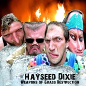Hayseed Dixie - Hungover Brokedown