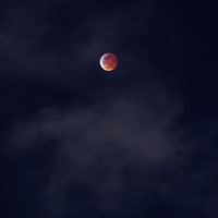 Swoop Swoop - Single - Jay Violet