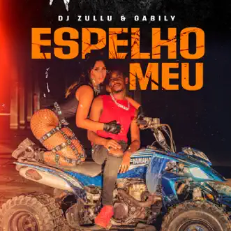 Espelho Meu by DJ Zullu & Gabily song reviws