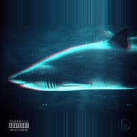 Shark - Single - L13