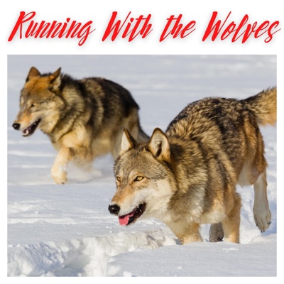 Running With the Wolves (feat. Francois Graiouf, Moe Howard, Cree Patterson, Mario Licata & Josh Jopp) - Single