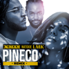 Pineco (Remix) - X-Man, LMK & Natoxie