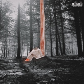 Red Wokuplikethiss & save