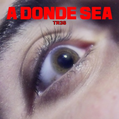 A donde sea - Single