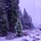 New Hampshire (Acoustic) - Sorry Ghost lyrics