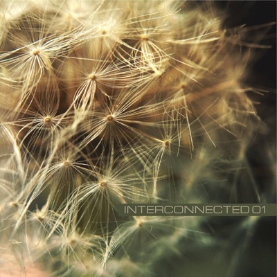 Interconnected 01