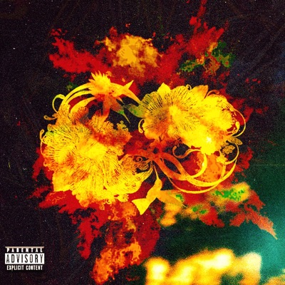 Theultimatec1 -She Seh - Single