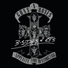 Guns N Roses