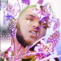 Dont Cry — Rico Rolando