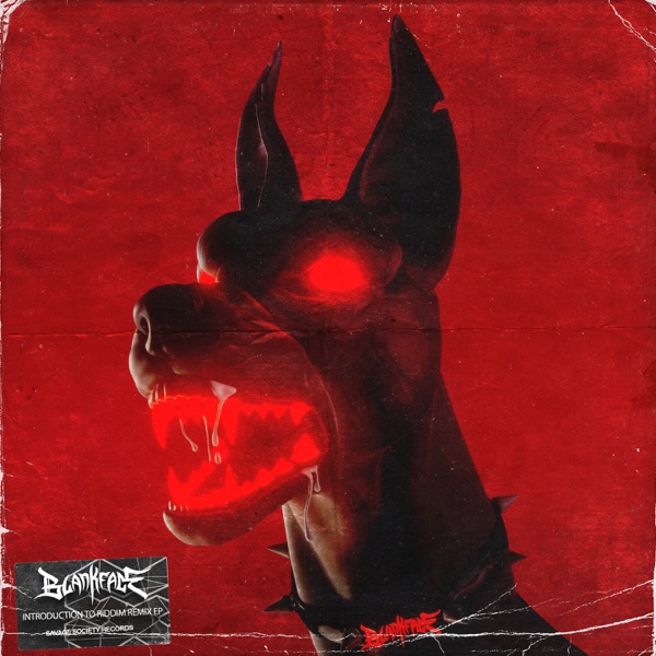 Introduction To Riddim - EP (Remixes)