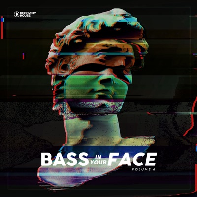 Bass in Your Face, Vol. 6