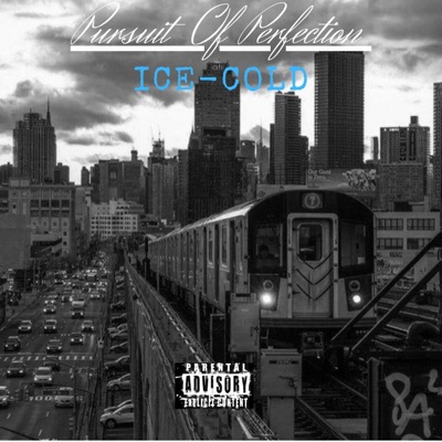 Pursuit of Perfection - EP