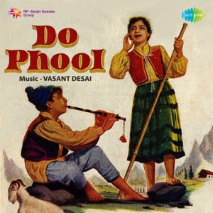 Do Phool (Original Motion Picture Soundtrack)