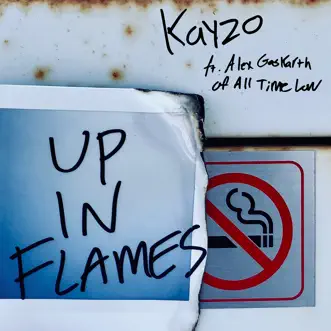 UP IN FLAMES (feat. Alex Gaskarth) - Single by Kayzo album reviews, ratings, credits